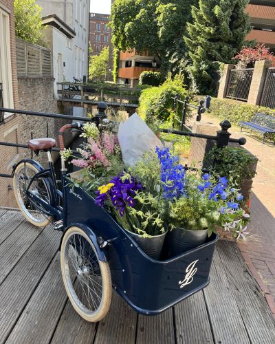 Bakfiets levering boeket in 's hertogenbosch Deb Bosch