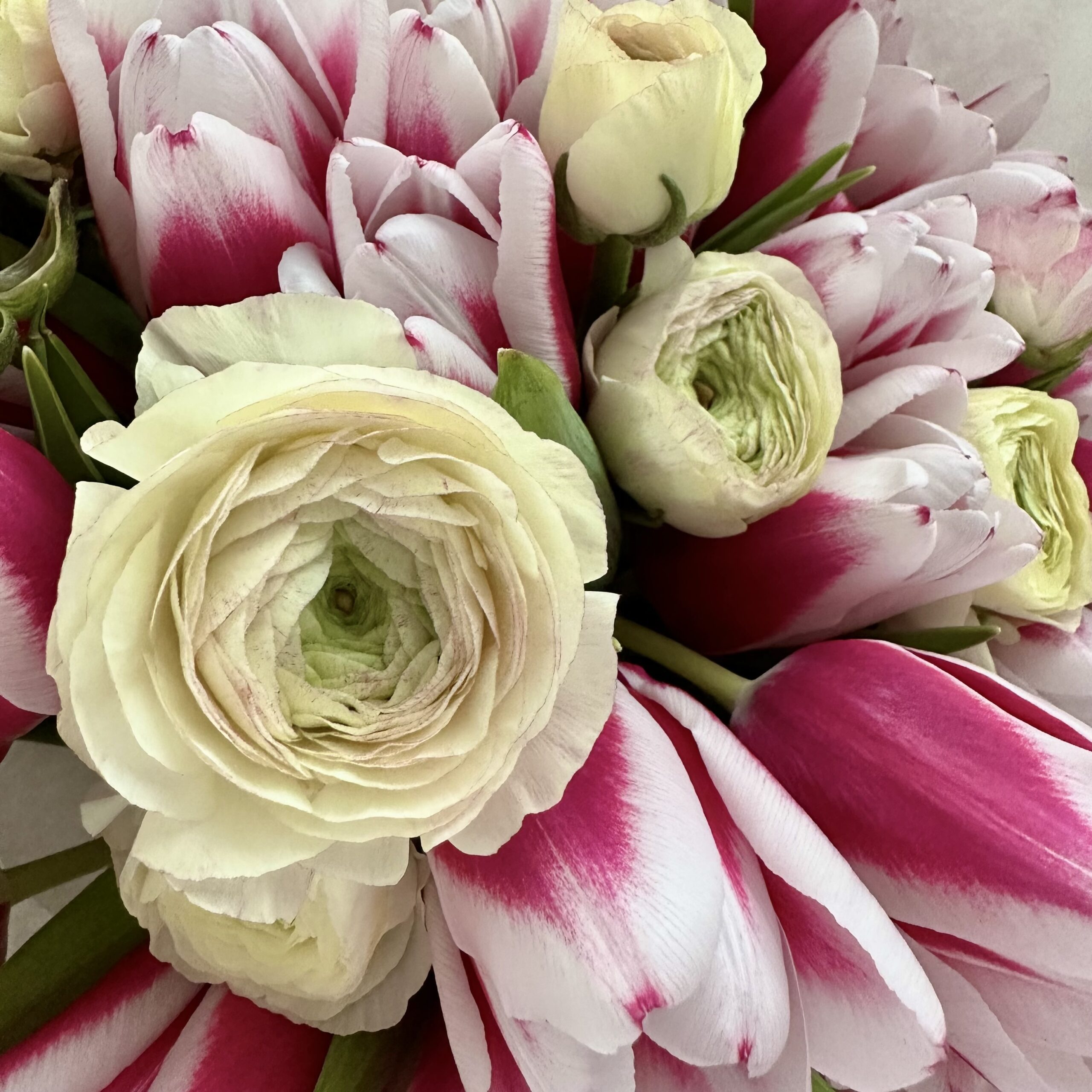 tulpen pink roze valentijne boeket bloeme